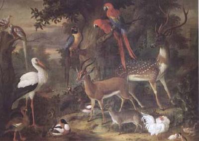 Jakob Bogdani Birds and deer in a Garden (mk25) Norge oil painting art